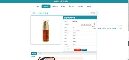 基于Java SSM的電商后臺管理系統(tǒng)(TGM41) 設(shè)計與實現(xiàn)