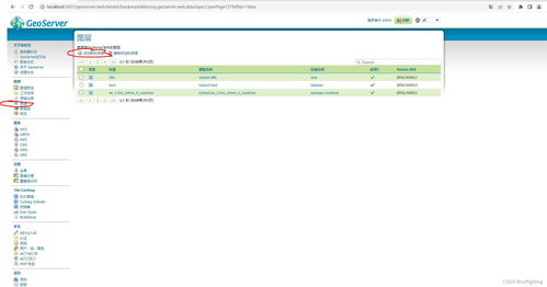 在GeoServer上發(fā)布WMS地圖服務(wù) 集成數(shù)據(jù)庫(kù)與計(jì)算機(jī)網(wǎng)絡(luò)服務(wù)