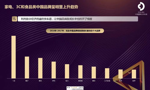 京東2018互聯(lián)網(wǎng)時(shí)代下的中國品牌發(fā)展報(bào)告 信息技術(shù)咨詢服務(wù)的實(shí)踐與洞察